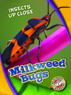 cover image of Milkweed Bugs